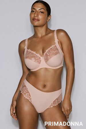 0161810 VEN Venus