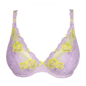 0163602 Wisteria
