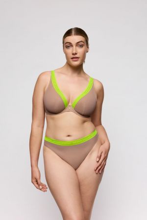 0142564 Ginger