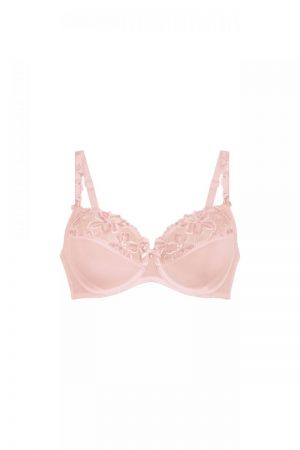 5252 wild Rose/128