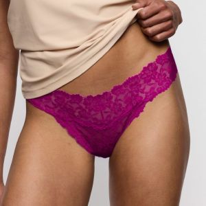 0603042 WIR Wild Rose